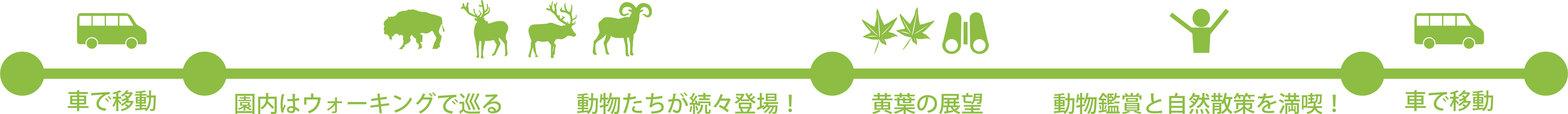 タイムライン